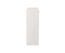 Load image into Gallery viewer, Jensen 2-Door Cabinet